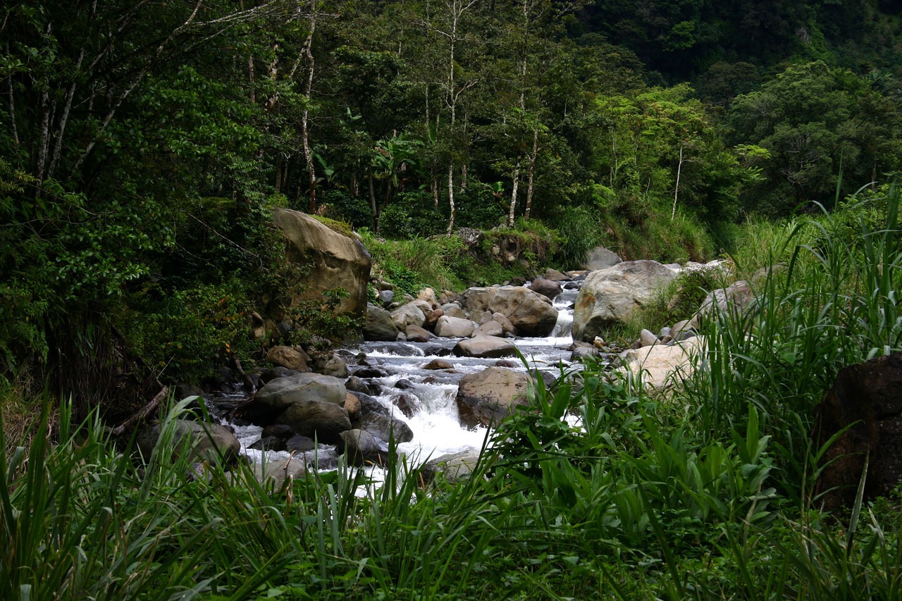 image02